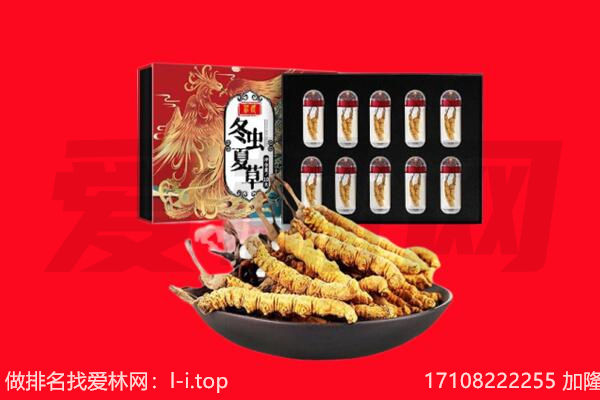 上饶铅山县回收虫草.jpg